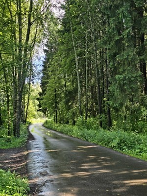 Продам дачу, Пролетарец тер. СНТ, 21, Троицкое с, 0 км от города