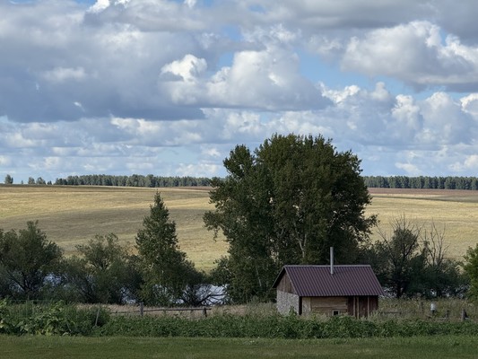 Продам дом, Октябрьская ул, Парфёново с, 0 км от города