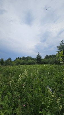 Продам участок 6 соток, ИЖС, Гатиятуллина ул, Октябрьский г, 0 км от города