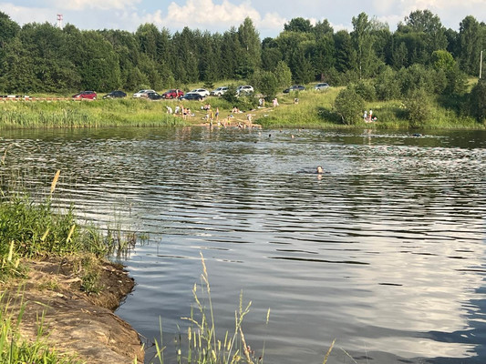 Продам дом, Радости Парк 1 тер. ДНП, Волосово д, 0 км от города