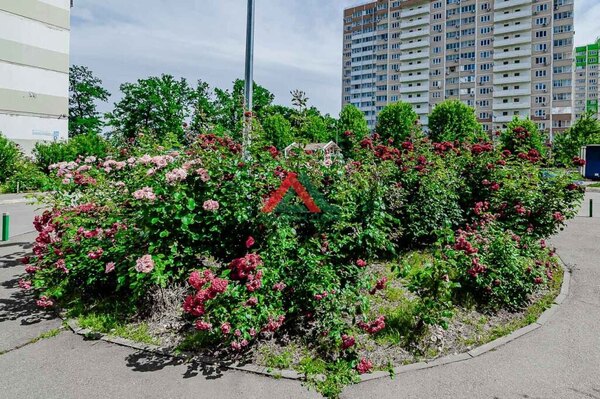 Продам однокомнатную (1-комн.) квартиру, Черкасская ул, 141, Краснодар г
