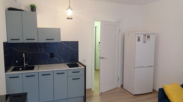Сдам однокомнатную (1-комн.) квартиру, Первых ул, 2к4, Новосаратовка д
