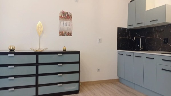 Сдам однокомнатную (1-комн.) квартиру, Первых ул, 2к4, Новосаратовка д