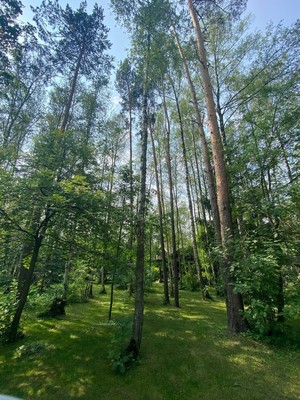 Продам дом, Подлесная ул, 1кВ, Вялки д, 0 км от города