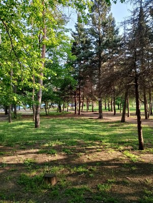 Продам дом, Нариманова ул, 105, Ростов-на-Дону г, 0 км от города