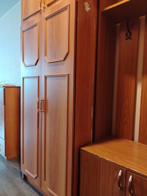Сдам однокомнатную (1-комн.) квартиру, Светлая ул, 12, Засечное с
