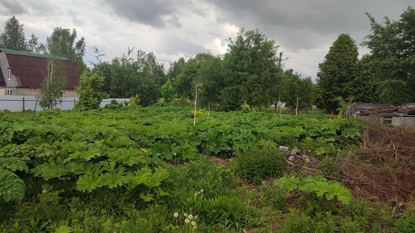Продам участок 15 соток, ИЖС, Ельдигино с, 0 км от города