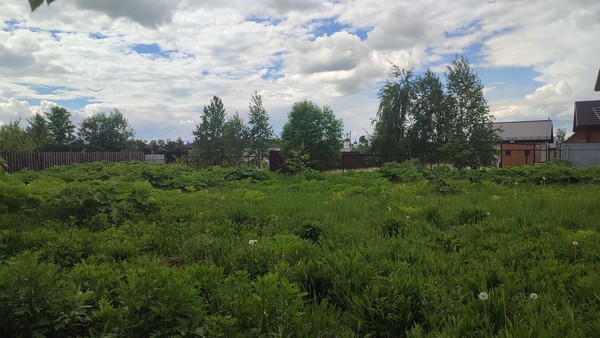 Продам участок 15 соток, ИЖС, Ельдигино с, 0 км от города