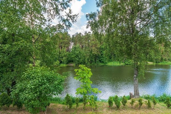 Продам участок 240 соток, ЛПХ, Устье С и Ко снт, Дубна г, 11 км от города