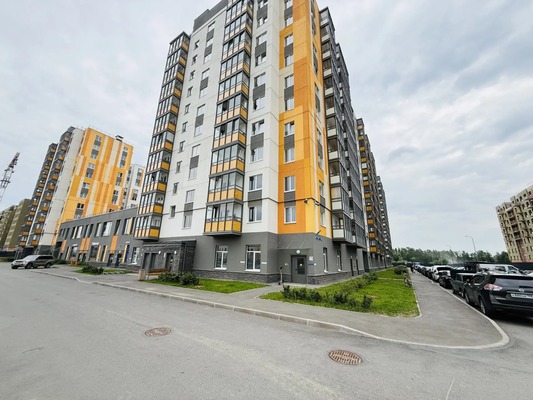 Продам однокомнатную (1-комн.) квартиру, Петропавловская ул, 13, Новоселье гп
