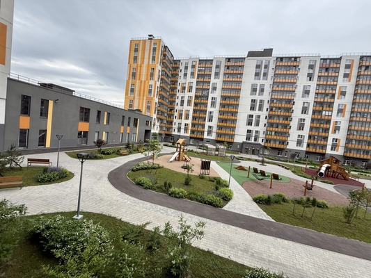 Продам однокомнатную (1-комн.) квартиру, Петропавловская ул, 13, Новоселье гп