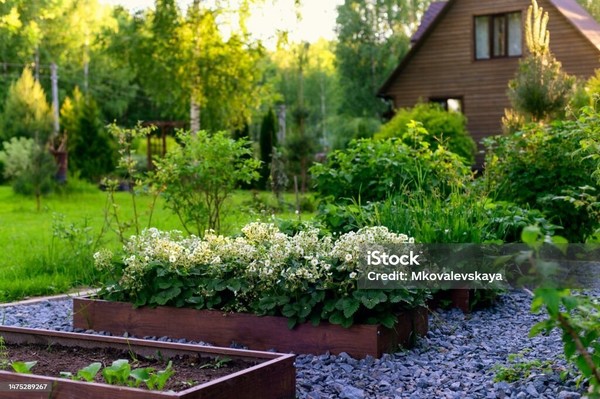 Продам участок 6 соток, Фермерское хоз., Орбита снт, 220, Армавир г, 0 км от города