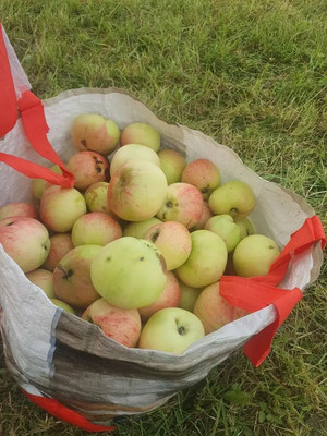 Продам дом, Алешкино тер. ДПК, Алексейково д, 0 км от города