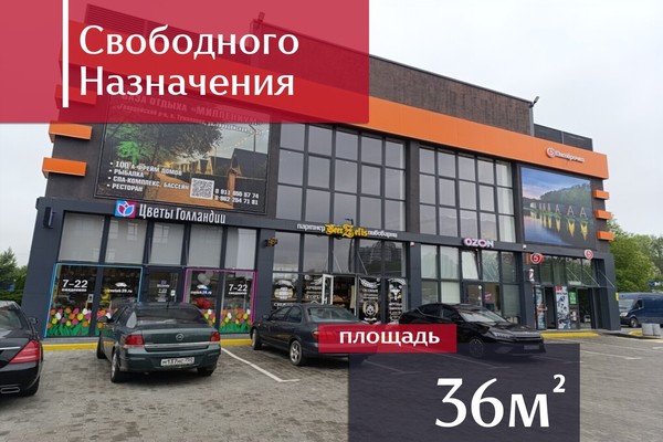 Сдам коммерческое помещение 36 м2, Каштановая аллея ул, 179, Калининград г