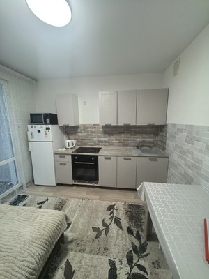 Продам однокомнатную (1-комн.) квартиру, Московский пр-кт, 209, Воронеж г
