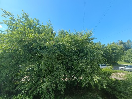 Продам двухкомнатную (2-комн.) квартиру, Рябиновый (Климовск мкр.) проезд, 3, Подольск г