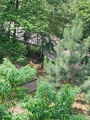 Продам трехкомнатную (3-комн.) квартиру, Пушкинская ул, 176/91, Ростов-на-Дону г