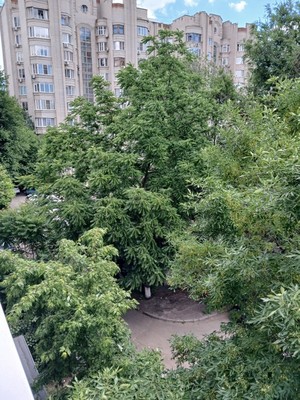 Продам трехкомнатную (3-комн.) квартиру, Пушкинская ул, 176/91, Ростов-на-Дону г