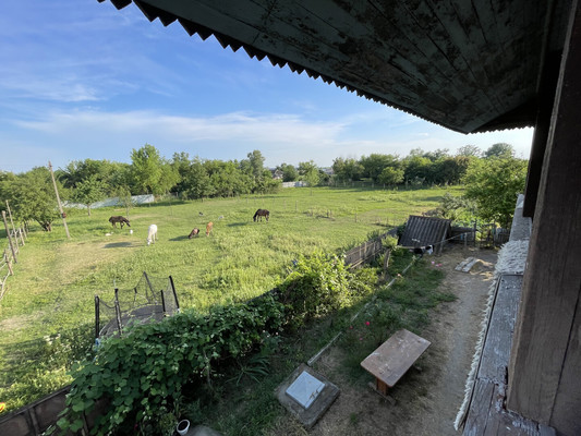 Продам дом, Северная ул, 2В, Черединовский х, 0 км от города