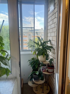 Продам трехкомнатную (3-комн.) квартиру, 4Б, Дубровицы п