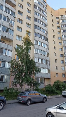 Продам двухкомнатную (2-комн.) квартиру, Оборонная ул, 2к5, Мурино п