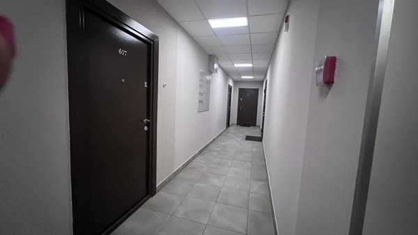 Сдам однокомнатную (1-комн.) квартиру, Кушелевская дор, 6к1, Санкт-Петербург г