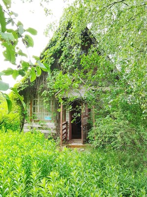 Продам дачу, Природа тер. СНТ, 153, Темряшино (Ситниковский с/с) д, 0 км от города