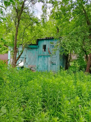 Продам дачу, Природа тер. СНТ, 153, Темряшино (Ситниковский с/с) д, 0 км от города