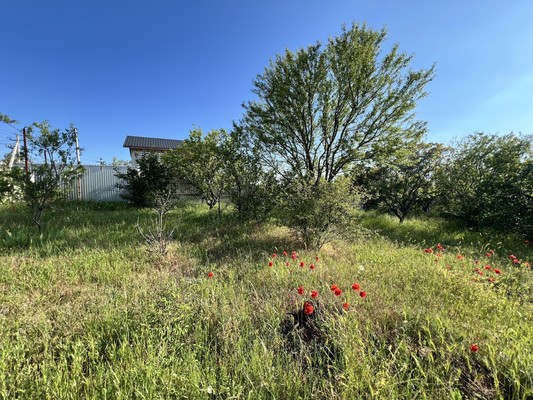 Продам участок 5 соток, Фермерское хоз., СТ СПК Факел массив Живописное тер. СПК, Трудовое с, 0 км от города