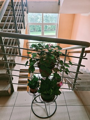 Продам однокомнатную (1-комн.) квартиру, Ленина ул, 23к7, Лобня г