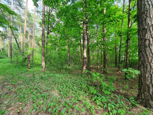 Продам участок 24 соток, ИЖС, Парижской Коммуны ул, 9, Ильинский рп, 0 км от города
