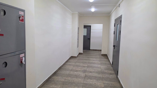 Продам двухкомнатную (2-комн.) квартиру, Бианки ул, 6к3, Московский г