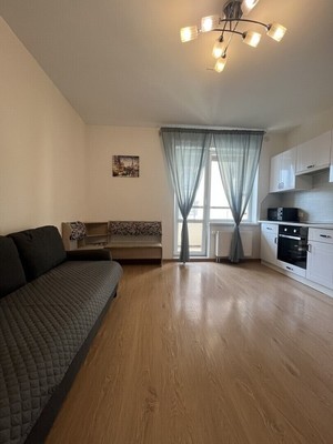 Продам однокомнатную (1-комн.) квартиру, Ветеранов пр-кт, 169к3, Санкт-Петербург г