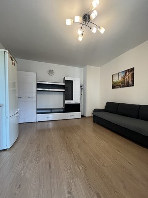 Продам однокомнатную (1-комн.) квартиру, Ветеранов пр-кт, 169к3, Санкт-Петербург г