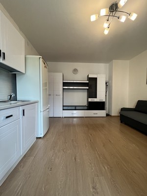 Продам однокомнатную (1-комн.) квартиру, Ветеранов пр-кт, 169к3, Санкт-Петербург г