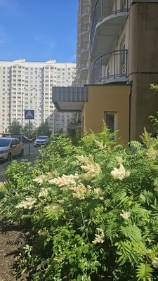 Продам трехкомнатную (3-комн.) квартиру, Южная ул, 14, Дрожжино рп