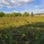 Продам участок 14,08 соток, ИЖС, Роз ул, Красный Восход п, 0 км от города