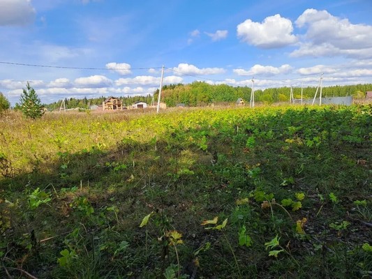 Продам участок 14,08 соток, ИЖС, Роз ул, Красный Восход п, 0 км от города
