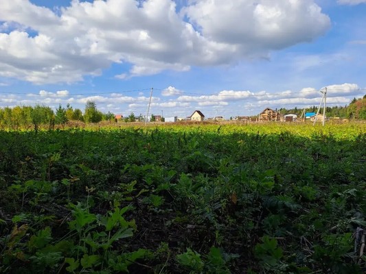 Продам участок 14,08 соток, ИЖС, Роз ул, Красный Восход п, 0 км от города