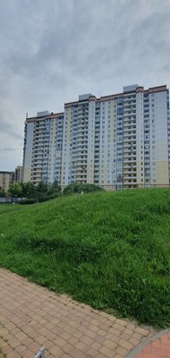 Продам двухкомнатную (2-комн.) квартиру, Арсенальная ул, 3, Новое Девяткино д