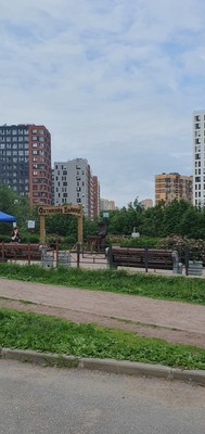 Продам двухкомнатную (2-комн.) квартиру, Арсенальная ул, 3, Новое Девяткино д