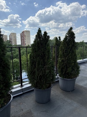 Продам трехкомнатную (3-комн.) квартиру, Прибрежная ул, 17, Троицк г