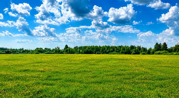 Продам землю для коммерческого использования 6,2 соток, Фермерское хоз., Береговское д