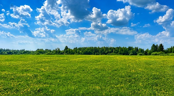 Продам землю для коммерческого использования 6,2 соток, Фермерское хоз., Береговское д