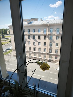 Продам трехкомнатную (3-комн.) квартиру, Швецова ул, 11, Санкт-Петербург г