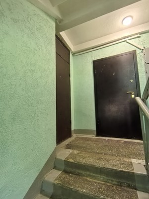 Продам двухкомнатную (2-комн.) квартиру, Ивовая ул, 4, Алексеевка д