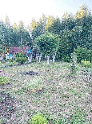 Продам дачу, 45, Агат тер. СНТ, 0 км от города