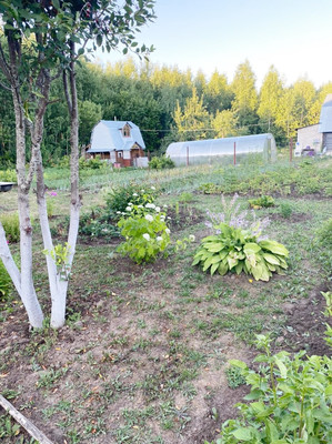 Продам дачу, 45, Агат тер. СНТ, 0 км от города