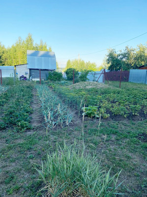 Продам дачу, 45, Агат тер. СНТ, 0 км от города