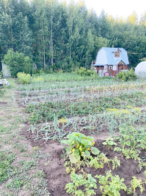 Продам дачу, 45, Агат тер. СНТ, 0 км от города